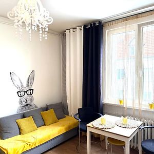 Apartment Kameralny 2B